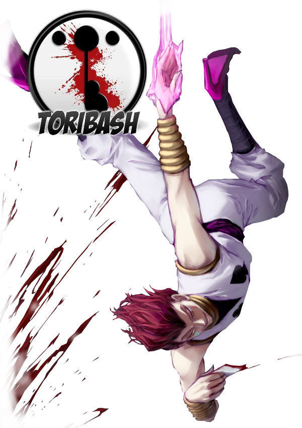 That's Hisoka And Welcome To My Multiplayer Replays - Toribash (600x850), Png Download