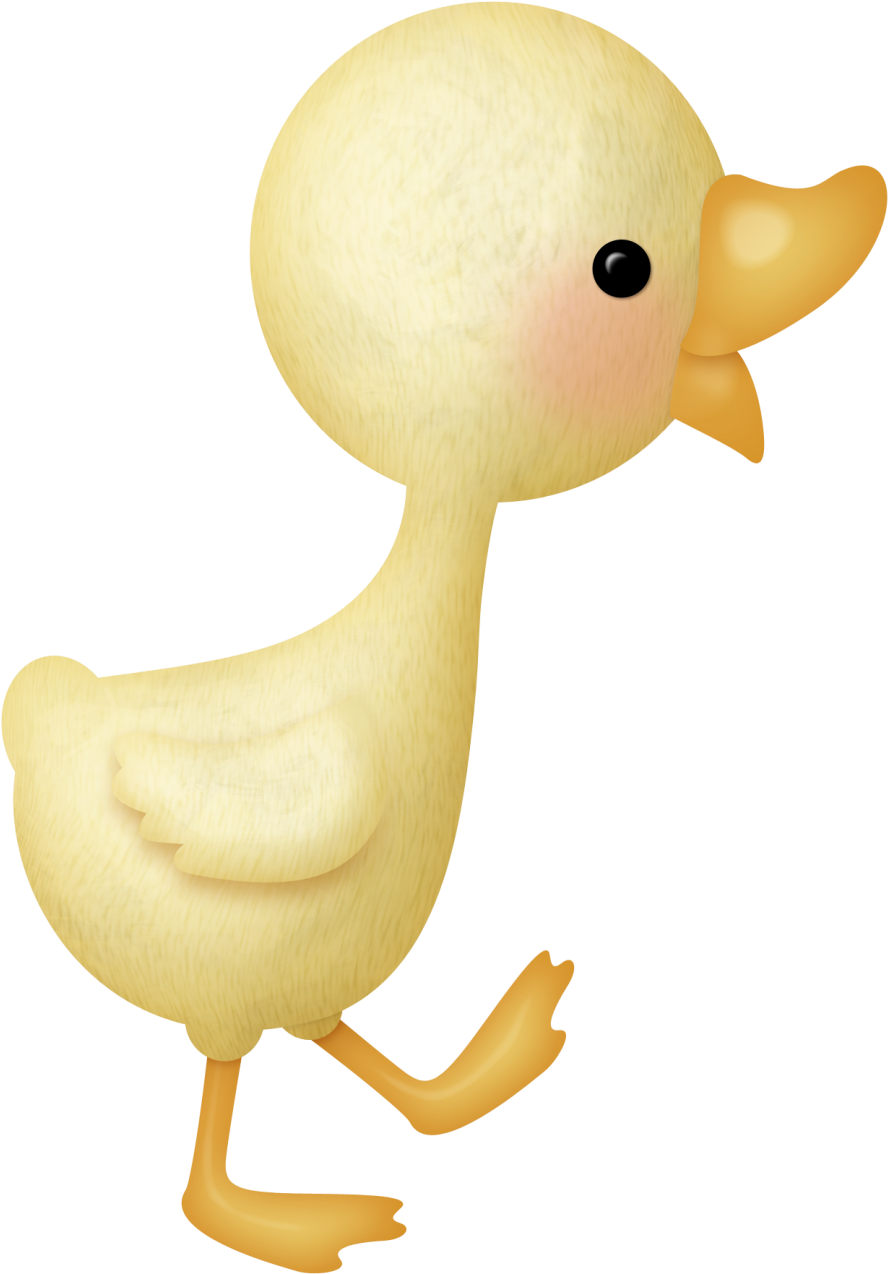Яндекс - Фотки - Cute Ducky Png (894x1280), Png Download
