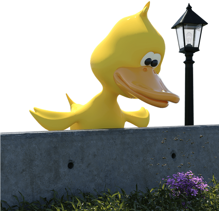 Duck (720x720), Png Download
