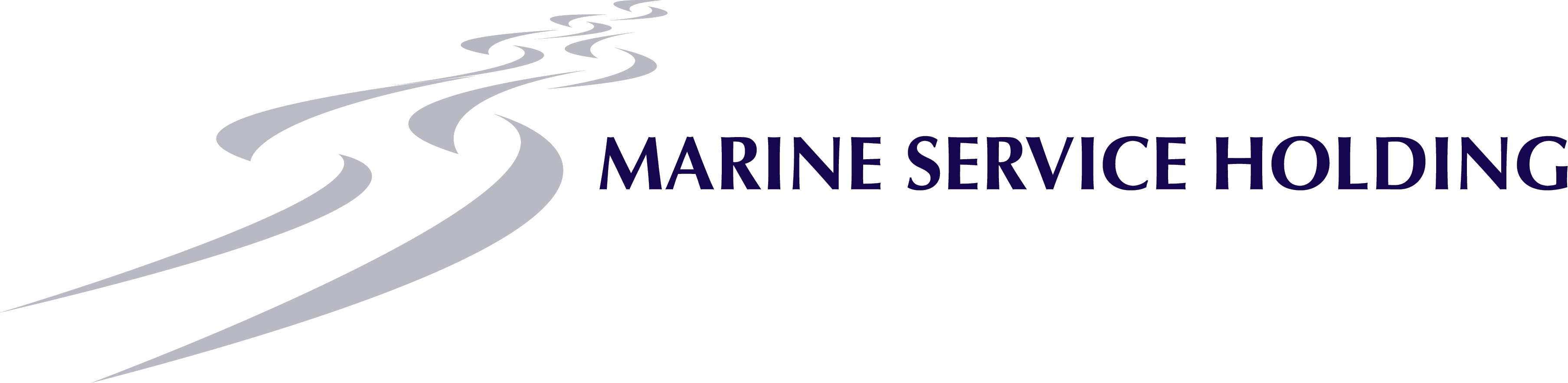 Holding Company - Handbook Of Research On E-services (3615x883), Png Download