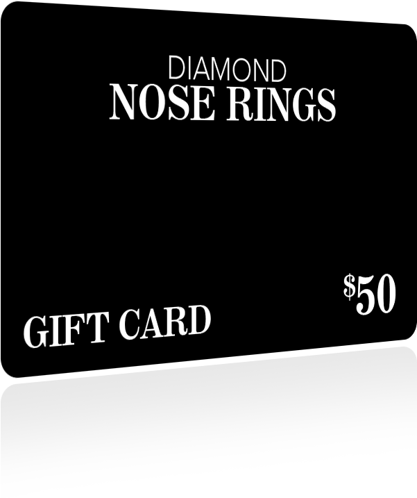 The Perfect Gift -for The Perfect Fit Nose Jewelry - Hard Disk Drive (743x760), Png Download