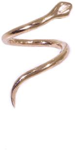 9ct Helix Snake - Slender Blind Snake (480x480), Png Download