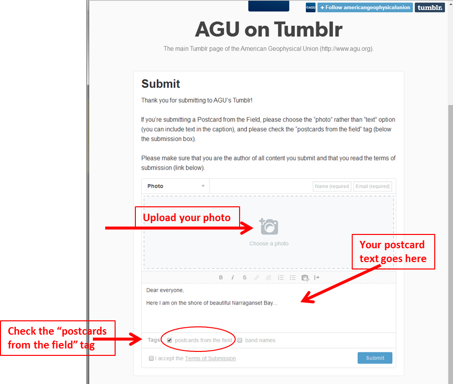 Tumblr Submission - Tumblr (917x778), Png Download