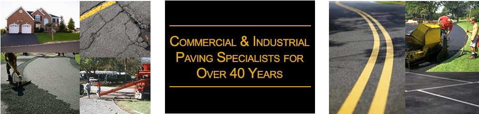 Petty Paving (960x300), Png Download