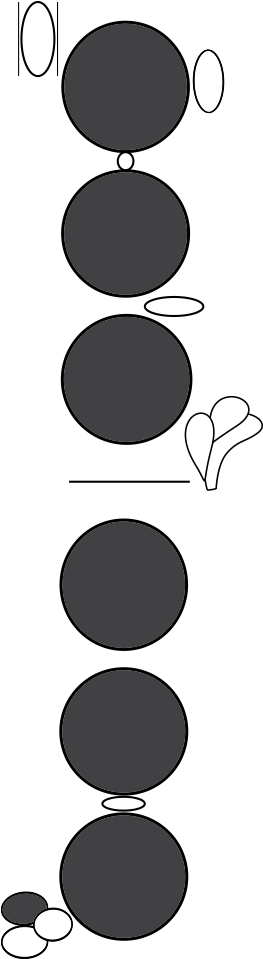 Oboe (324x1066), Png Download