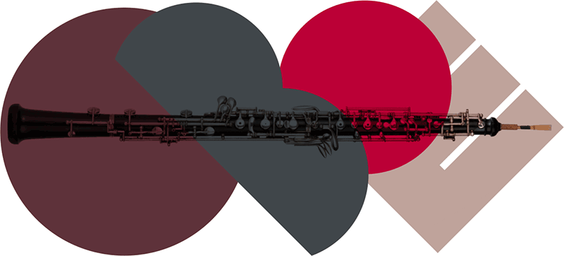 The International Oboe Competition Of Japan In Tokyo - Sniper Rifle (800x364), Png Download