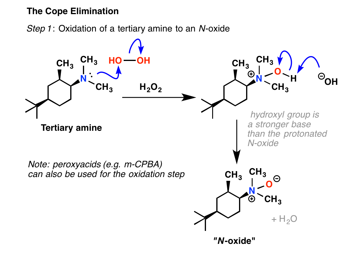In The First Part Of This Process, The Amine Attacks - Diagram (1215x871), Png Download