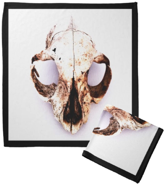 Squirrel Skull Drop Earrings (568x636), Png Download