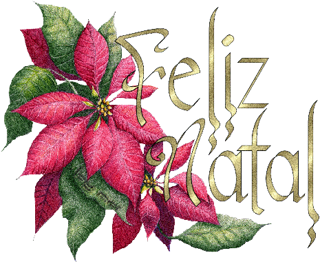 É Ter Conhecido Alguém Como Você - Coração Feliz Natal (465x380), Png Download