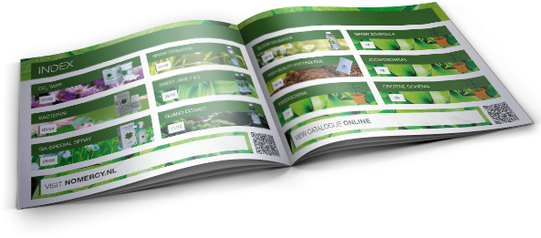 Previousnext - Brochure (593x261), Png Download