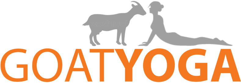 At Our Farm, Sunday - Goat Yoga Logo (788x281), Png Download