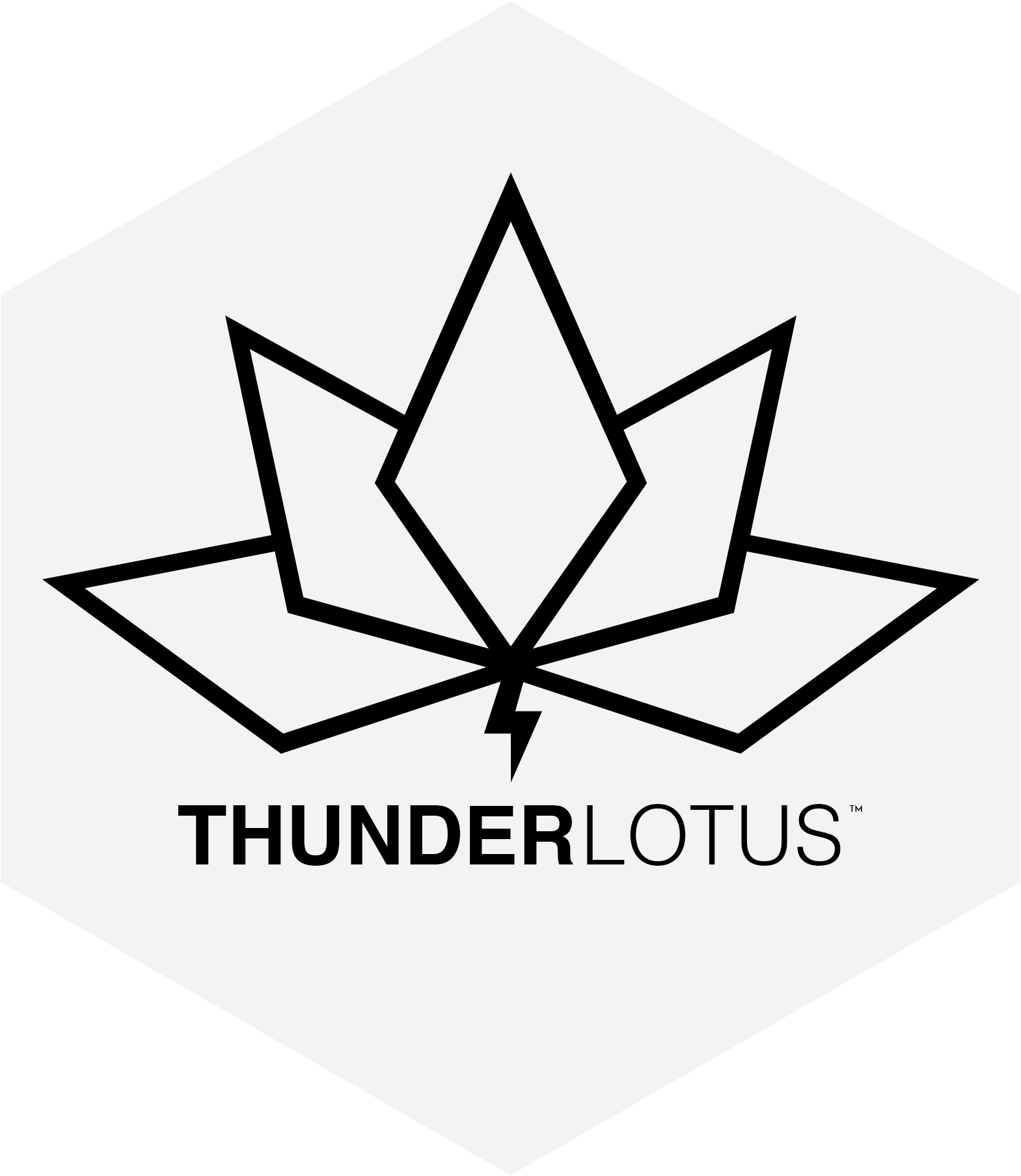 Logo - Icon - Thunder Lotus Games Png (1569x1808), Png Download
