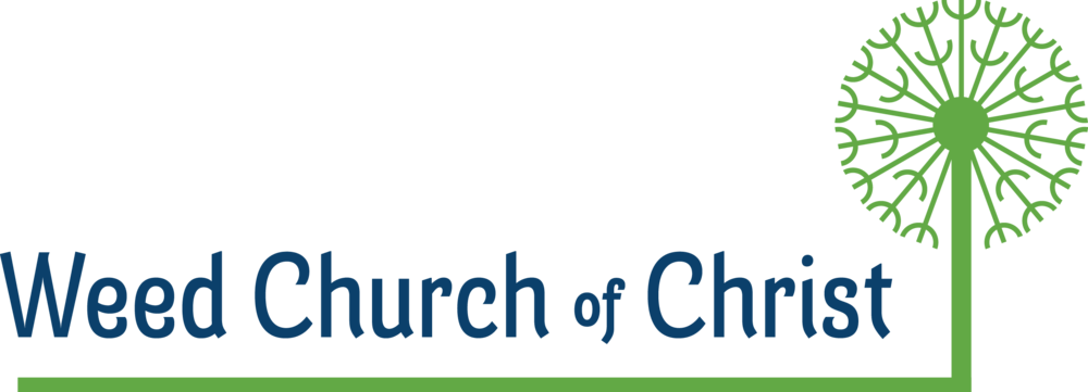 What Is Going On With The Church Of Cannabis - Church Of Christ (1000x361), Png Download