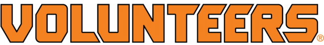 Tennessee Volunteers Iron Ons - Tennessee Volunteers (650x800), Png Download