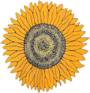 Flowers, Sunflower, And Yellow Image - Philadelphia Magazine Top Doctors 2018 (500x436), Png Download