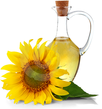 Clip Art Images - Sunflower Seed Oil Png (425x387), Png Download