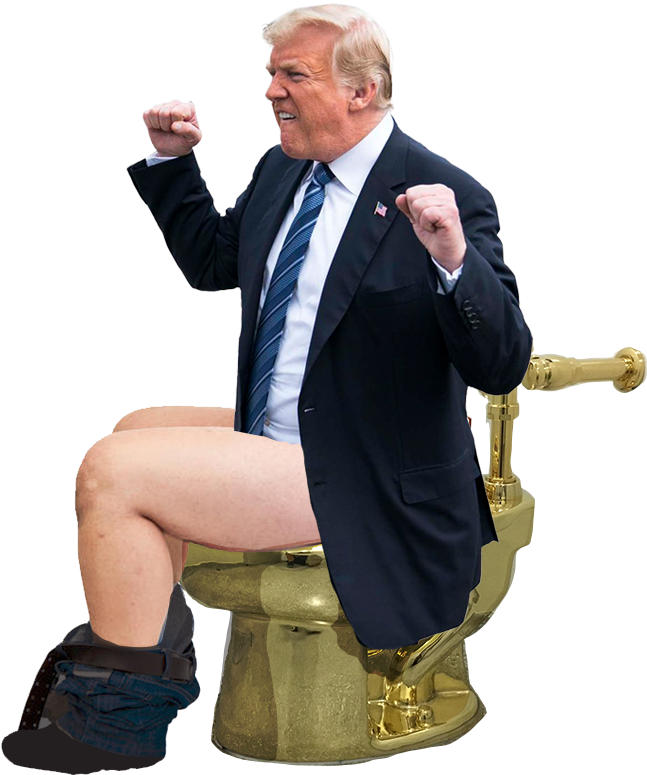 David Williams Sitting Standing - Donald Trump Fist Pump Memes (1200x1200), Png Download