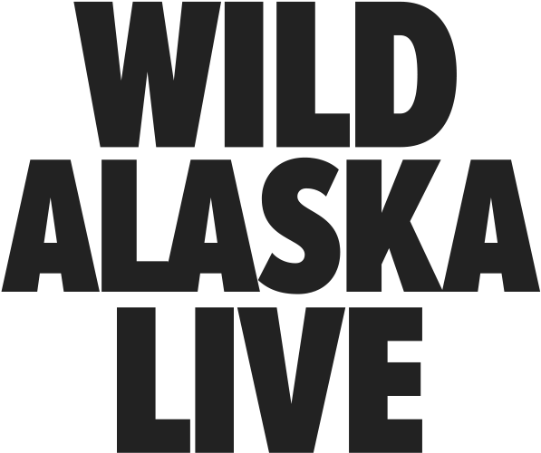 Latest Episode - Fête De La Musique (1000x500), Png Download