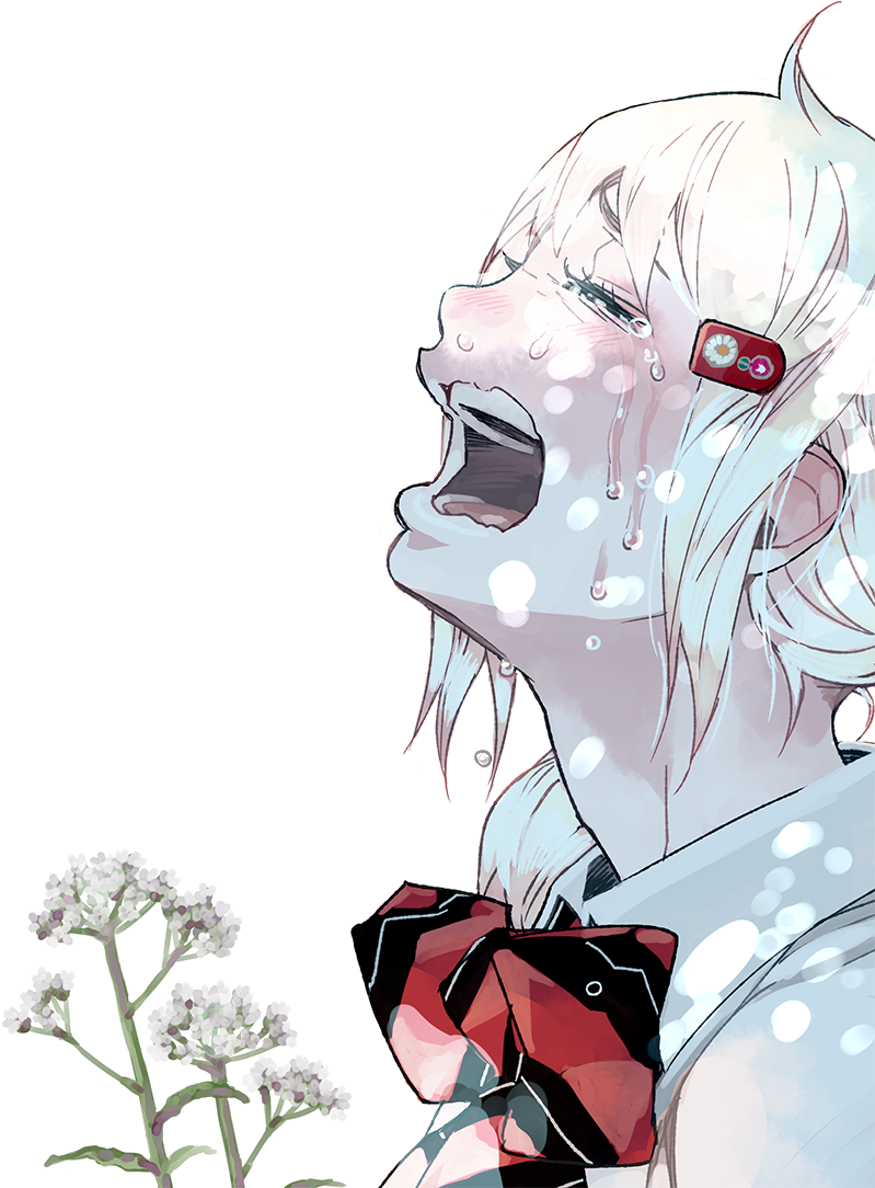Exorcist Season 2 Promotional Videofull Resolution - Ao No Exorcist S2 Shiemi (798x1200), Png Download