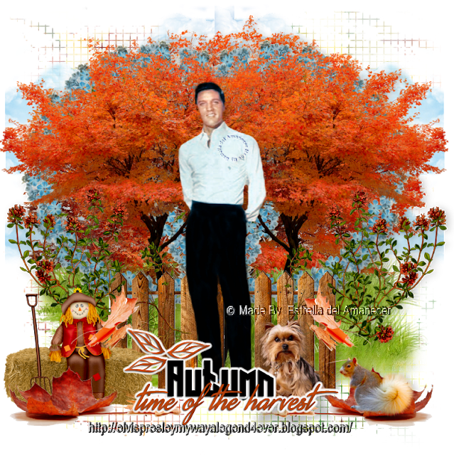 Elvis Presley, Autumn Time Of The Harvest - Companion Dog (639x640), Png Download