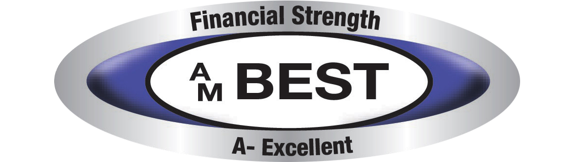 Standard Security Life Insurance Company Of New York - Am Best (1200x358), Png Download