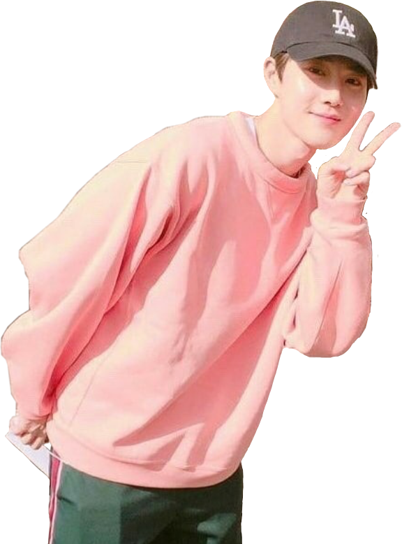 Report Abuse - Exo Suho Pink (576x778), Png Download