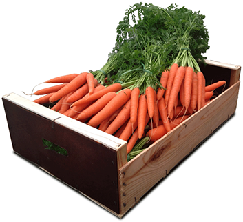 Cajas Pool , Ifco , Madera Y Cartón Y Flow Pack - Caja De Zanahorias Png (486x365), Png Download