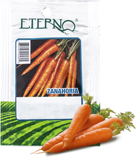 Orange Carrot Antiaging Face Whip - Organic - Natural (400x400), Png Download