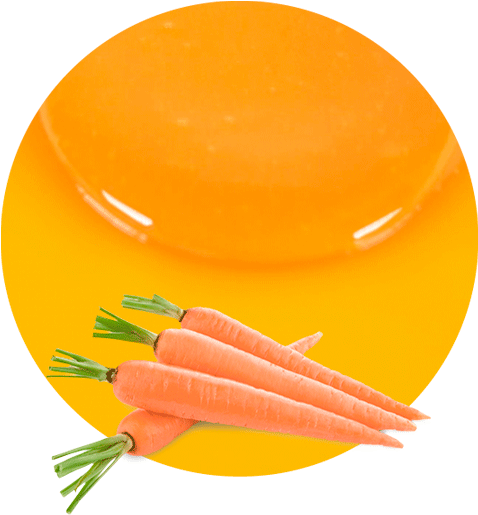 Nuestro Concentrado De Puré De Zanahoria Tiene Un Alto - Cà Rốt (536x595), Png Download