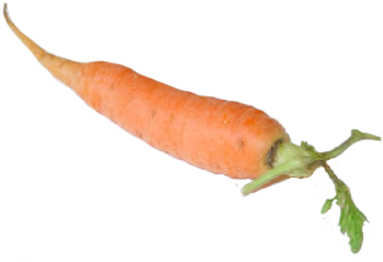 Imagen Imagen Real De Zanahoria - Speech (400x300), Png Download