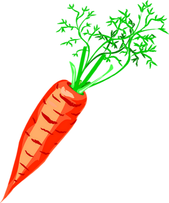 Carrot (540x650), Png Download