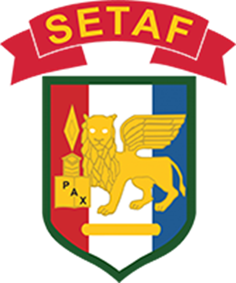 Carved Plaque Of The Seal/crest Of The 2nd Infantry - Us Army Africa (476x570), Png Download