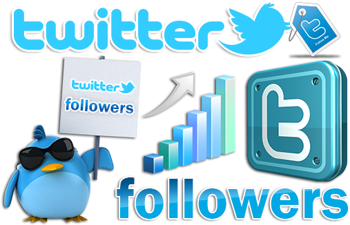 Local1page Buying Twitter Followers - Buy Twitter Followers (530x370), Png Download
