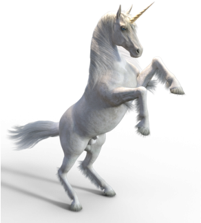 White Unicorn, Category, - Unicorn Psd (360x360), Png Download