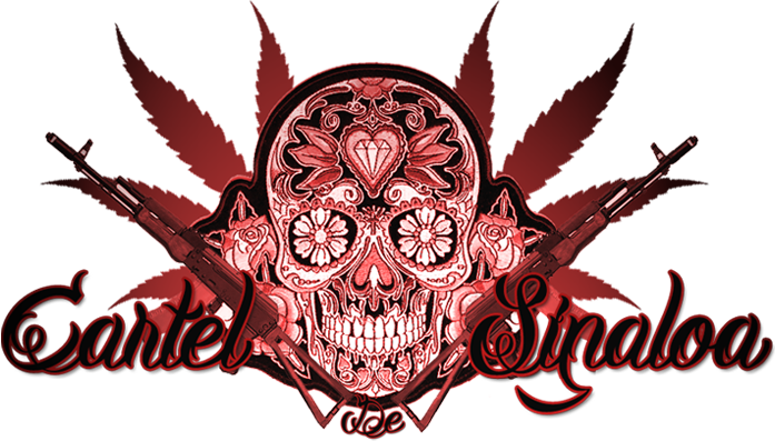 Http - //www - News - Com - Au/world/middle East/drug - Dove Sugar Skull Dj Turntable Slipmat (697x397), Png Download