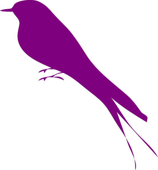 Bird Purple Photos - Blue Bird (552x594), Png Download