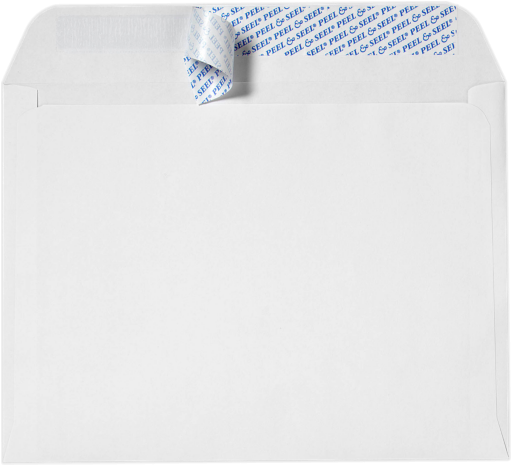 9 X 12 Booklet Envelopes - Philips Bare Lamp For Optoma Op-x2800 / Opx2800 Projector (510x600), Png Download