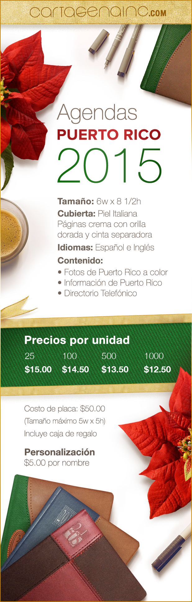 787 743 2266 Email - Poinsettia Flower (618x1930), Png Download