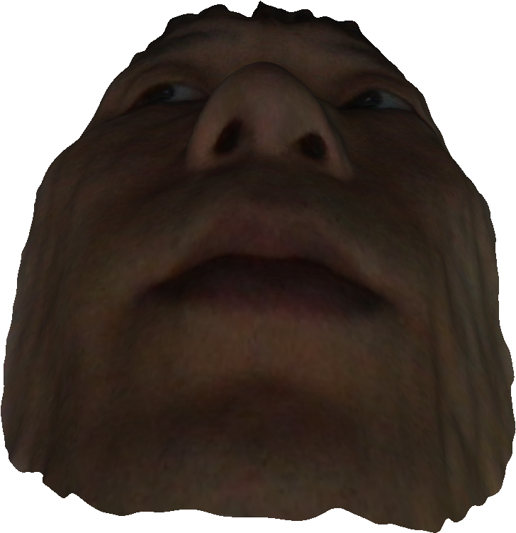 Hippopotamus (1920x902), Png Download