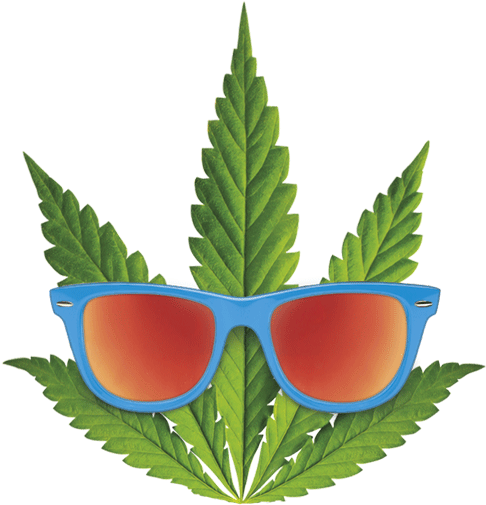 Hemp - Ecomil Hemp (600x600), Png Download