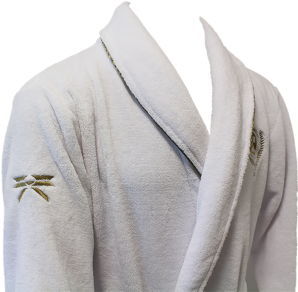 Destiny 2 Guardian Bathrobe - Hoodie (600x600), Png Download