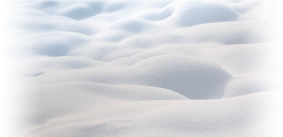 2wheel Revolution's Fat Bike Race - Fatbike (1002x467), Png Download