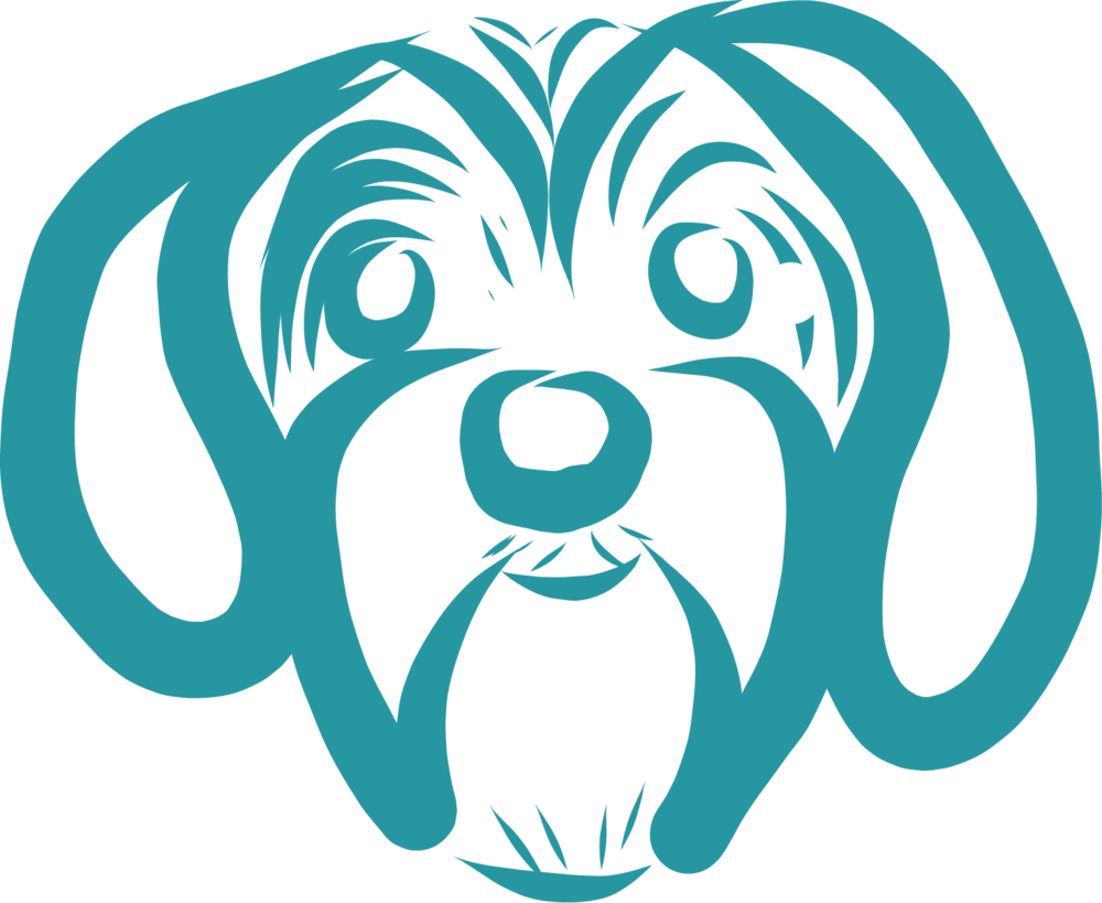 This Is Velma - Velma Dinkley (1000x819), Png Download