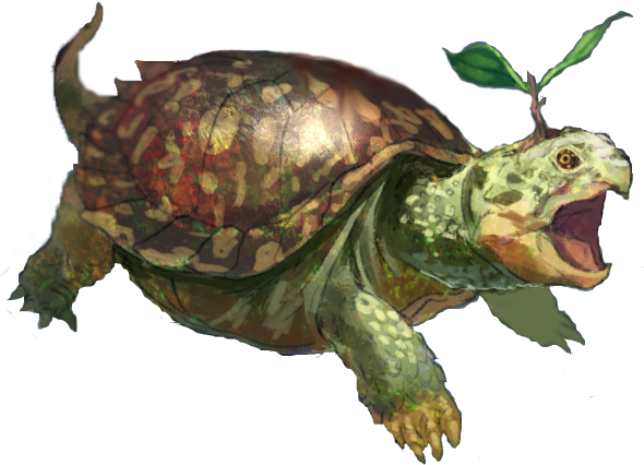 Turtwig Realistico - Tortoise (589x456), Png Download