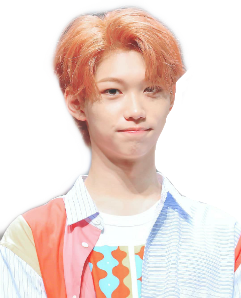 Stray Kids (480x592), Png Download