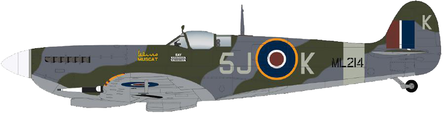 Spitfire Mk Ixc J - Spitfire Mk (900x230), Png Download
