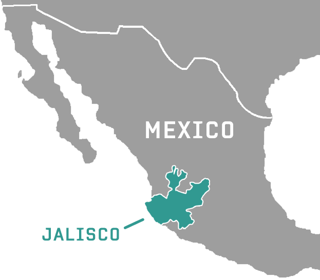 Jalisco Mexico Map - Mapa Electoral Mexico 1994 (623x545), Png Download