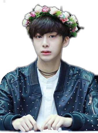 Report Abuse - Monsta X Stickers Hyung Won (340x462), Png Download