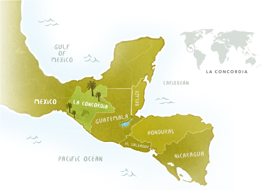 Coffee Notes Flavor Description Bright Lemon Citrus - World Map (897x643), Png Download