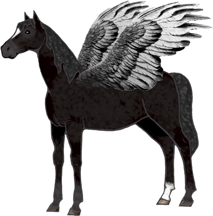 Cheval Aile Noire - Stallion (1000x1000), Png Download